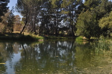 Enlarge photo 21