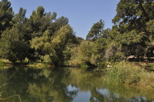 Enlarge photo 22