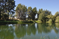 Enlarge photo 24