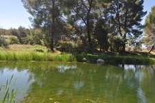 Enlarge photo 25