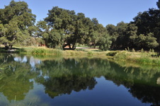 Enlarge photo 29