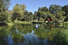 Enlarge photo 31