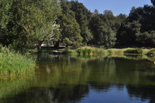 Enlarge photo 34