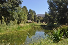 Enlarge photo 36