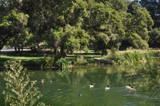 Enlarge photo 37