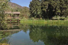 Enlarge photo 39