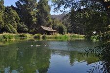 Enlarge photo 40