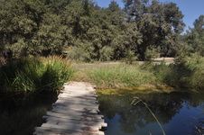 Enlarge photo 41