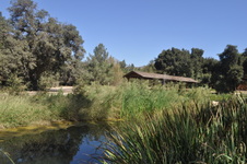 Enlarge photo 42