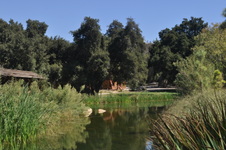 Enlarge photo 44