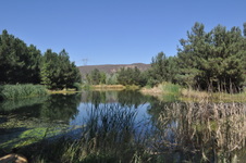 Enlarge photo 45