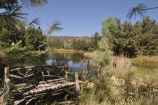 Enlarge photo 47