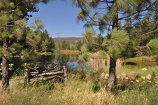Enlarge photo 48