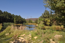 Enlarge photo 49