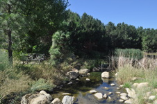 Enlarge photo 51