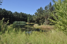 Enlarge photo 54