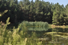 Enlarge photo 55