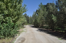Enlarge photo 57