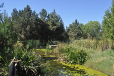 Enlarge photo 58