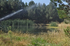 Enlarge photo 60