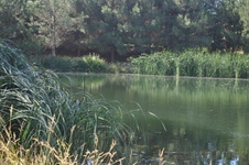 Enlarge photo 61