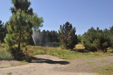 Enlarge photo 68