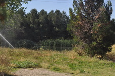 Enlarge photo 69