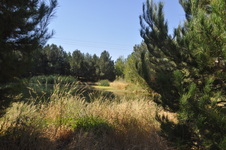Enlarge photo 70