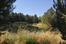 Enlarge photo 71