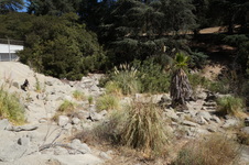 Enlarge photo 7