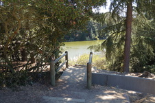 Camping by the River