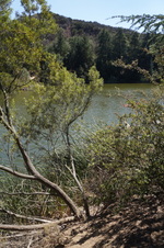 Enlarge photo 13