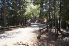 Enlarge photo 14