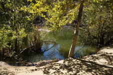 Enlarge photo 17