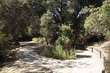 Enlarge photo 19