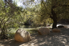 Enlarge photo 20