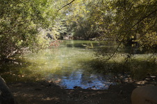 Enlarge photo 30