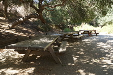 Enlarge photo 25