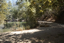Enlarge photo 23