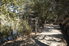 Enlarge photo 33