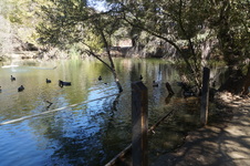 Enlarge photo 34
