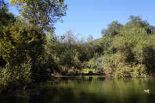 Enlarge photo 35
