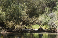 Enlarge photo 36