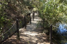 Enlarge photo 37