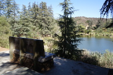 Enlarge photo 39