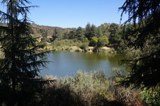 Enlarge photo 40