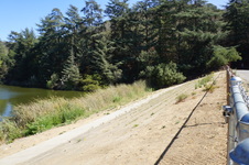 Enlarge photo 41