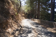 Enlarge photo 42