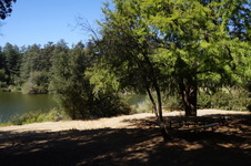 Enlarge photo 44