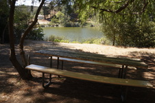 Enlarge photo 45
